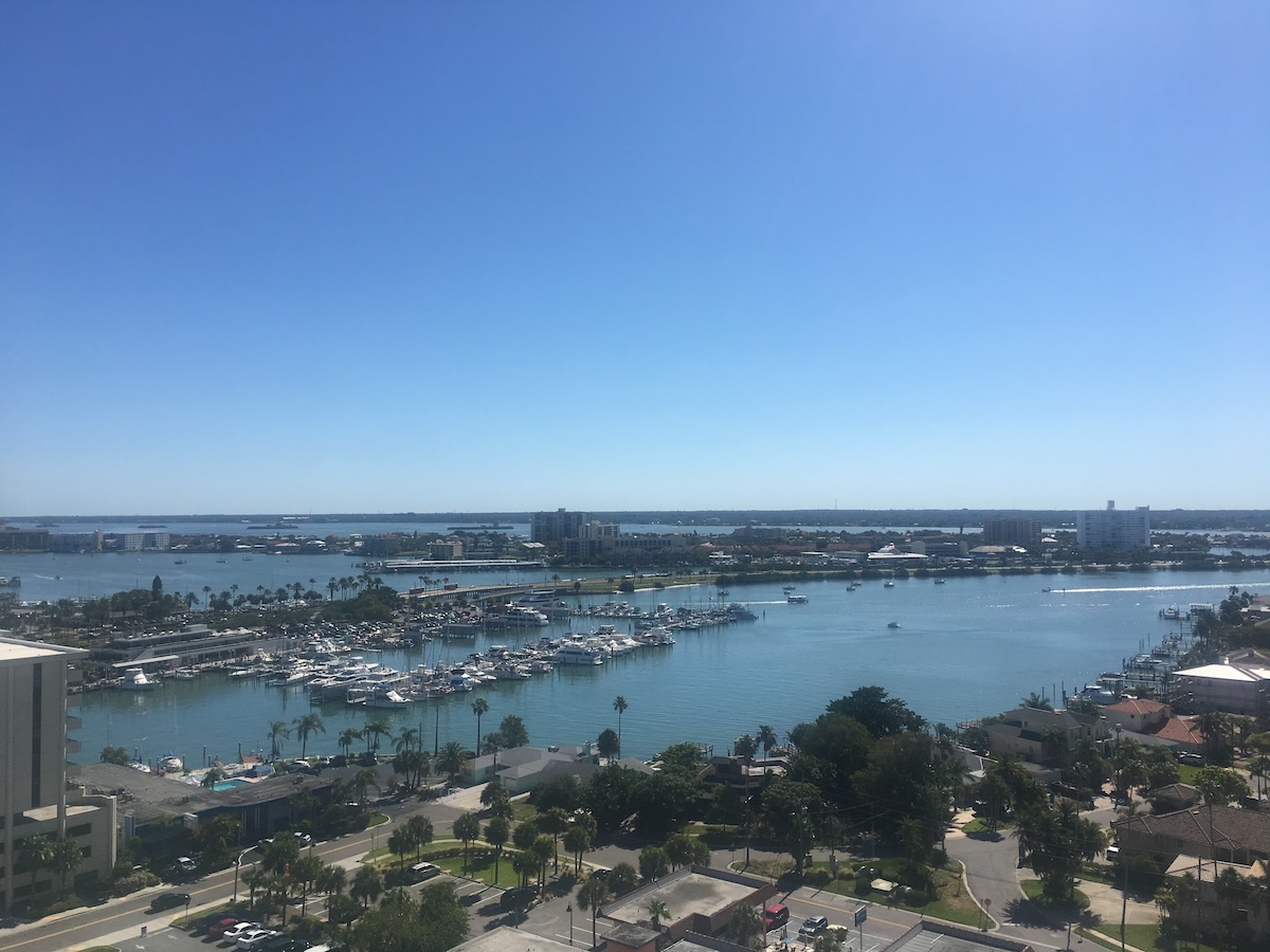 Elevated view over a Tampa area marina filled with boats and surrounded by palm trees and waterfront buildings. The wide blue bay stretches toward the horizon under a clear sky.