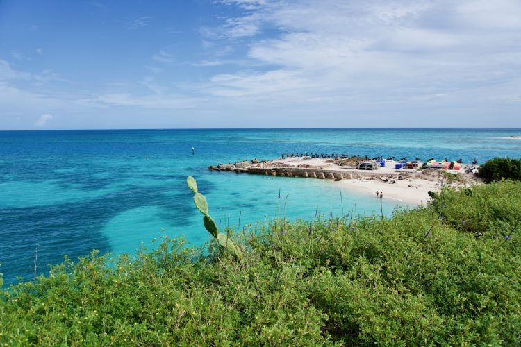 Aerial View of Dry Tortugas